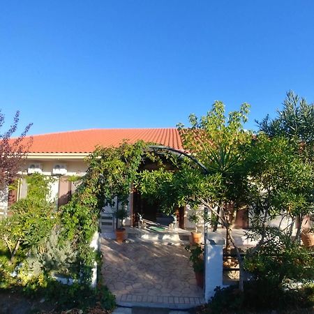 Villa Dream Garden Agios Georgios  Exterior photo